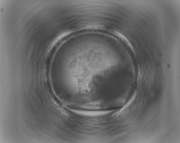 X0000066541019200603171235