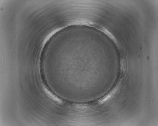 X0000066541020200603171235