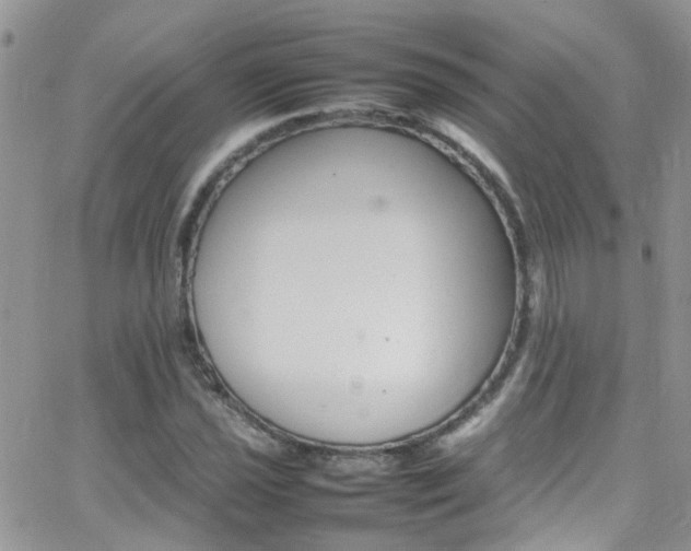 X0000066541021200603171235