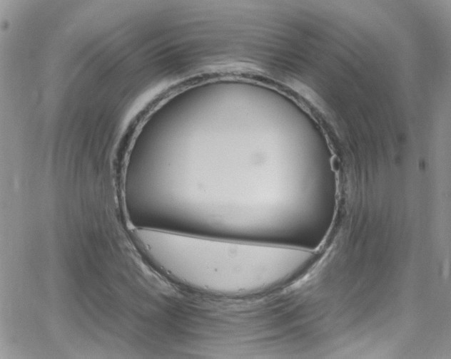 X0000066541022200603171235