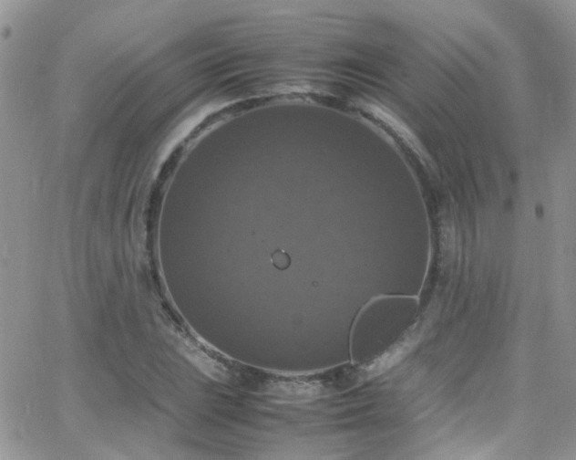 X0000066541023200603171235