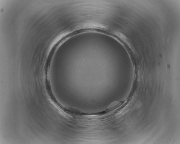 X0000066541024200603171235