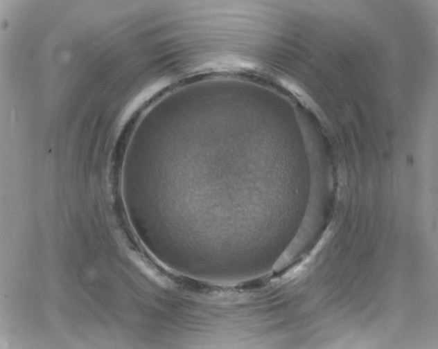 X0000066541026200603171235