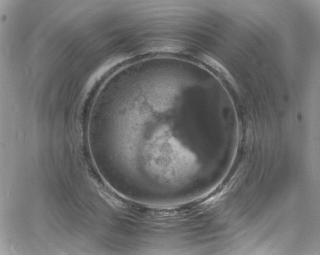 X0000066541027200603171235