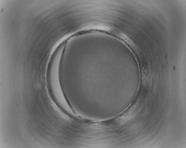 X0000066541028200603171235