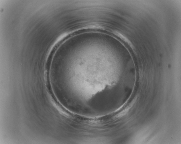 X0000066541029200603171235