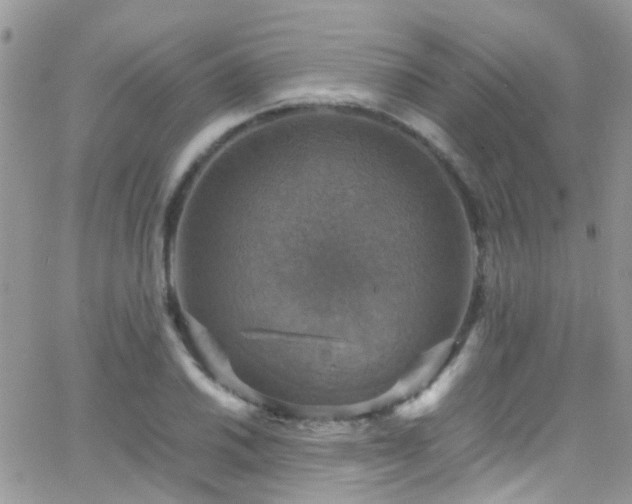 X0000066541030200603171235