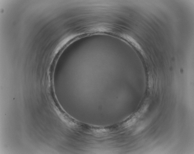 X0000066541031200603171235