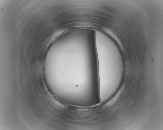 X0000066541033200603171235