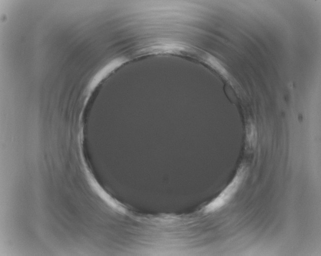 X0000066541034200603171235