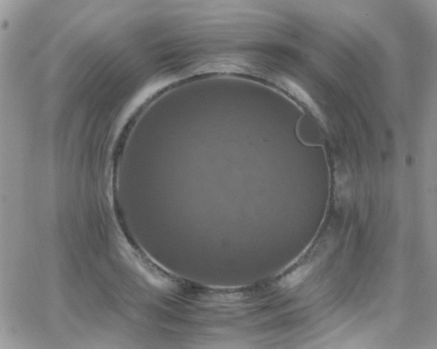 X0000066541035200603171235