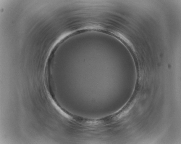 X0000066541037200603171235