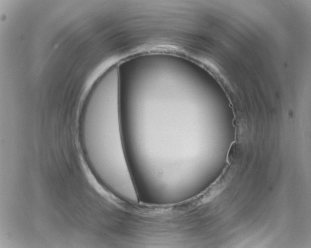 X0000066541038200603171235