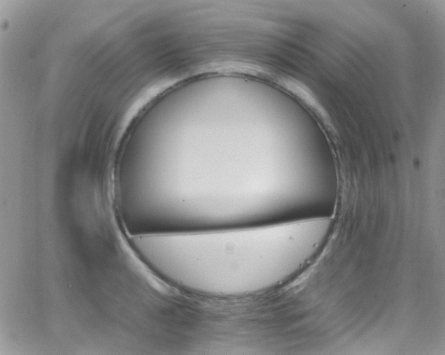 X0000066541040200603171236