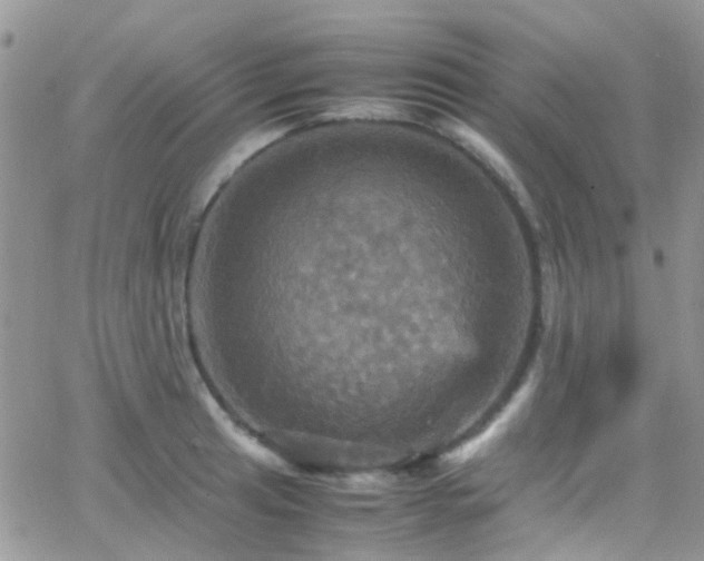 X0000066541041200603171236