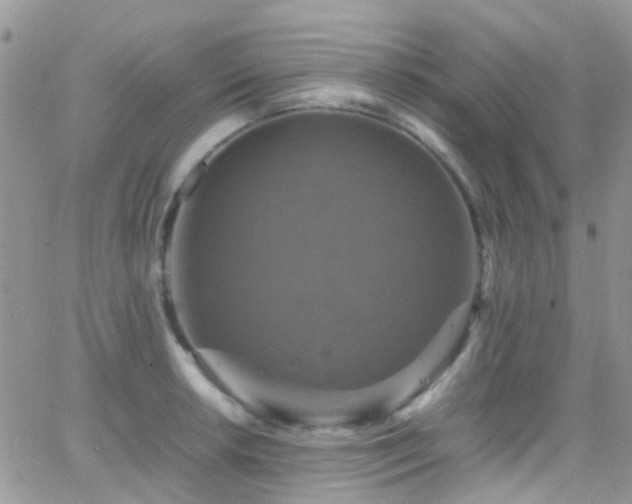 X0000066541042200603171236