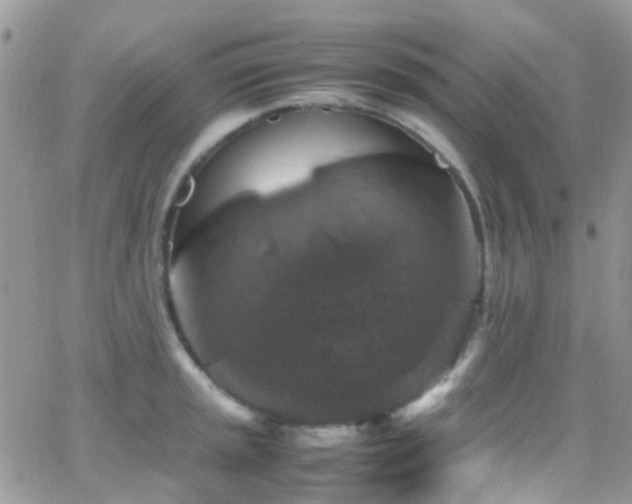 X0000066541045200603171236