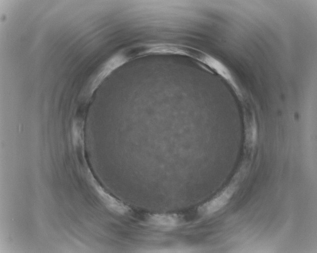 X0000066541049200603171236