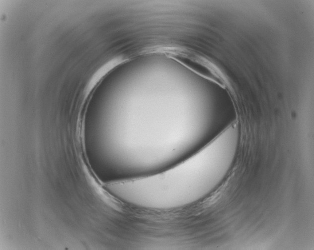 X0000066541050200603171236