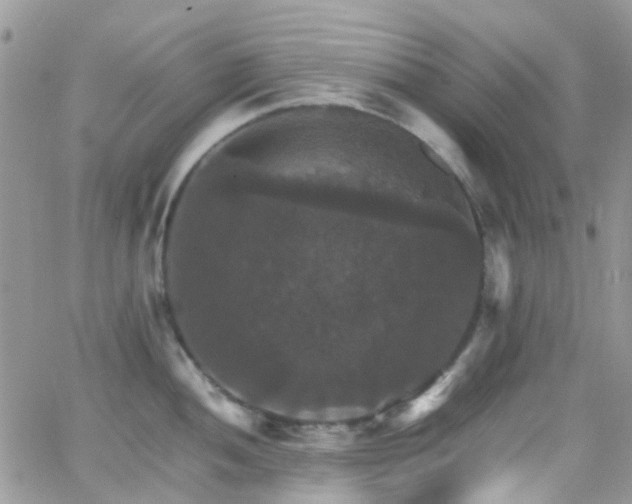 X0000066541052200603171236