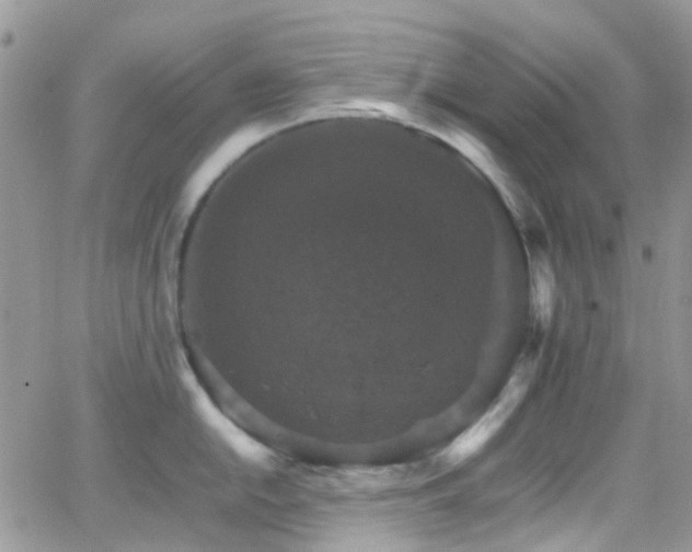 X0000066541054200603171236