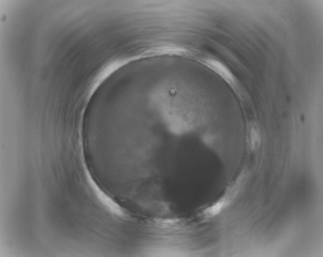 X0000066541055200603171236