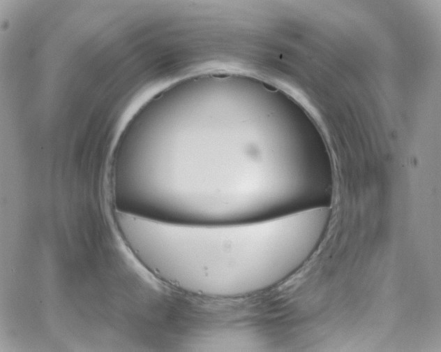 X0000066541056200603171236