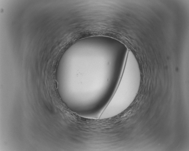 X0000066541057200603171235