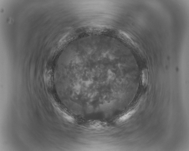 X0000066541059200603171235