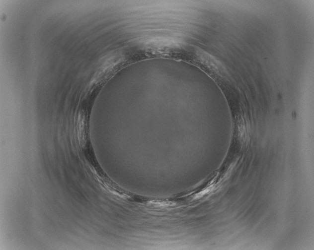 X0000066541060200603171235