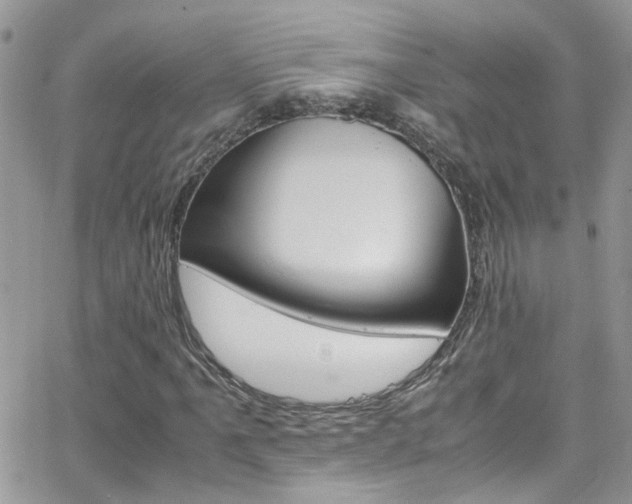 X0000066541061200603171235