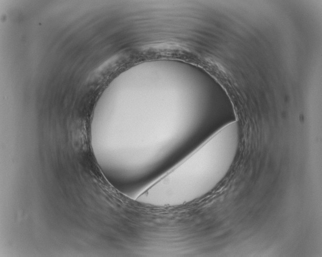 X0000066541062200603171235