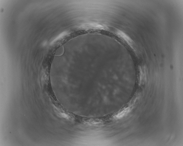 X0000066541063200603171235