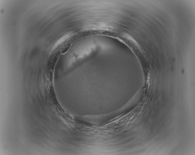 X0000066541064200603171235