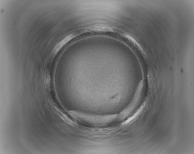 X0000066541065200603171235