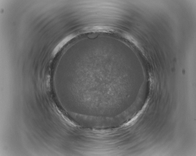 X0000066541066200603171235