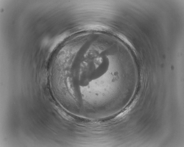 X0000066541067200603171235