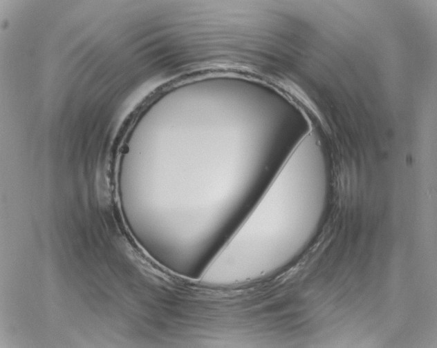 X0000066541068200603171235