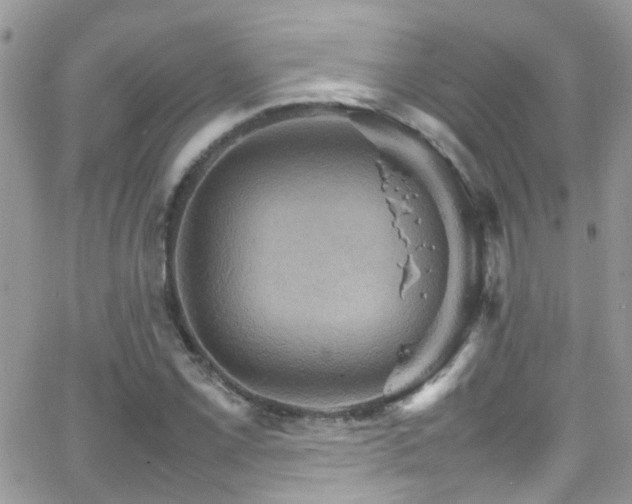 X0000066541069200603171235