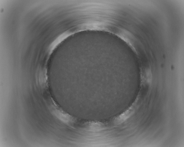 X0000066541070200603171235