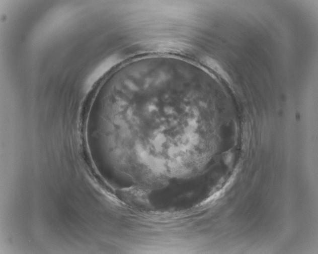 X0000066541071200603171235