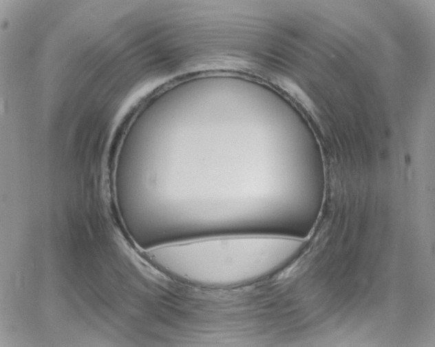 X0000066541072200603171235