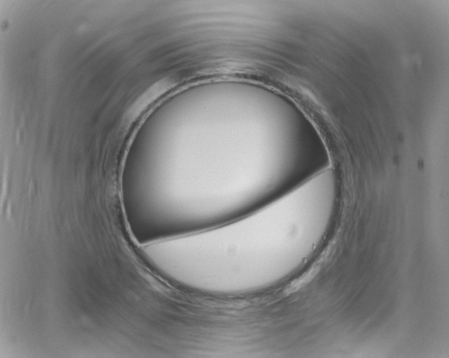 X0000066541073200603171235