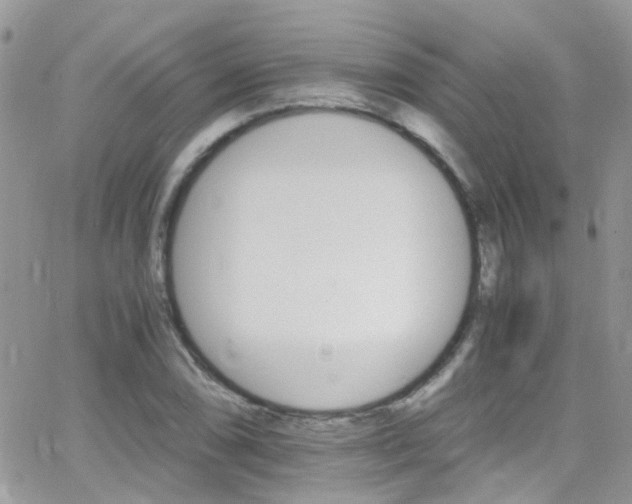 X0000066541074200603171235