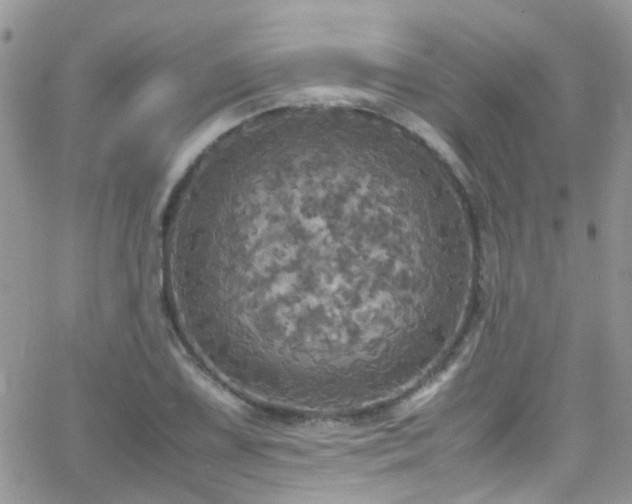 X0000066541075200603171235