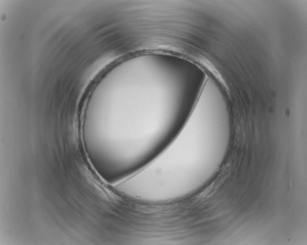 X0000066541076200603171235