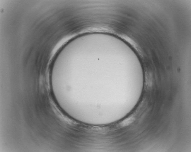 X0000066541078200603171235