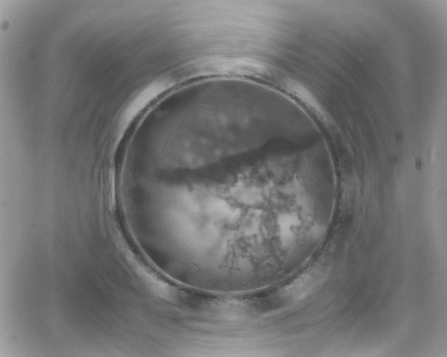 X0000066541079200603171235