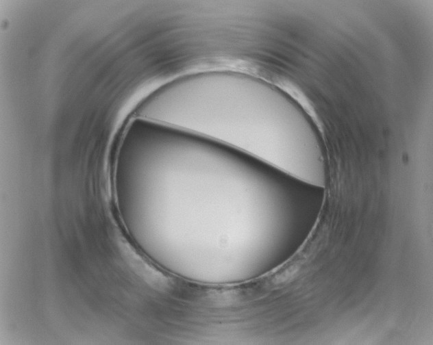 X0000066541080200603171235