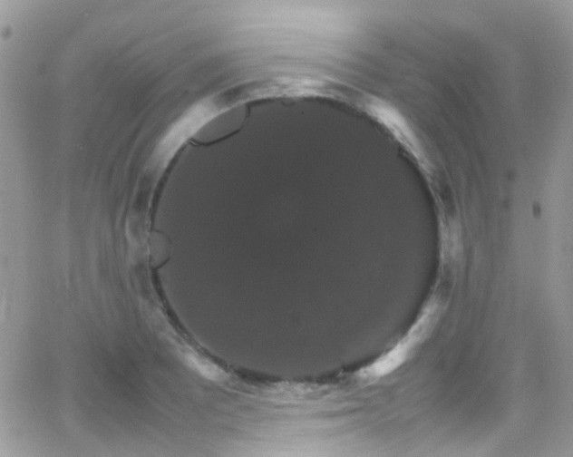 X0000066541081200603171235